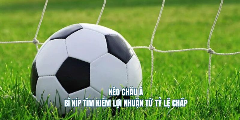 Kèo Châu Á - Bí Kíp Tìm Kiếm Lợi Nhuận Từ Tỷ Lệ Chấp